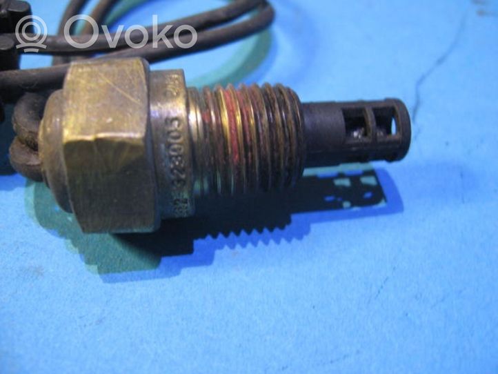 Renault 19 Ansaugluftsensor 2382