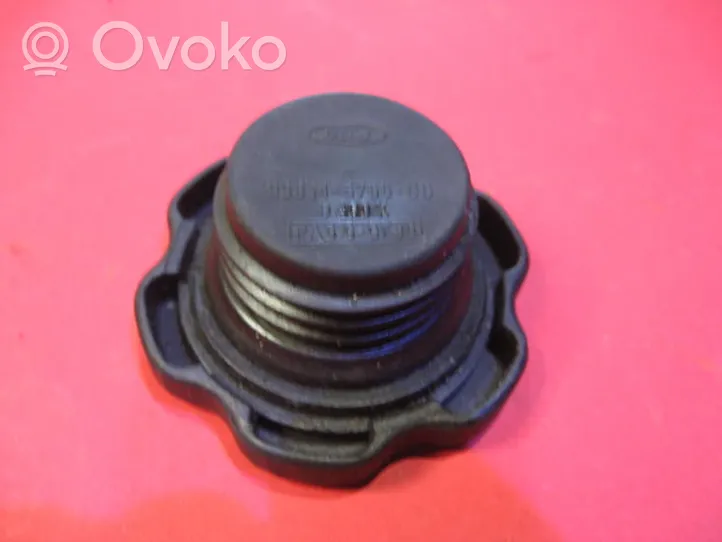 Ford Focus Tappo carico dell’olio 938M6766BB