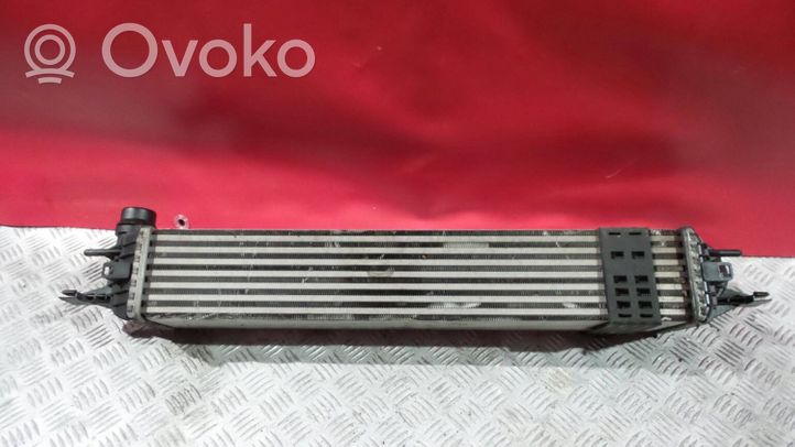 Renault Laguna III Chłodnica powietrza doładowującego / Intercooler 