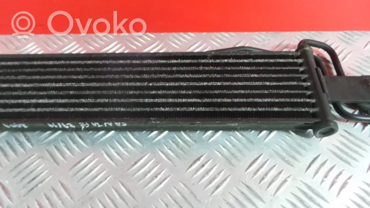 Hyundai Santa Fe Engine oil radiator 