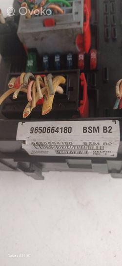 Peugeot 307 Module de fusibles 9650664180