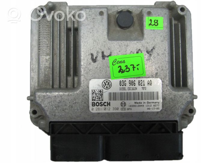 Volkswagen Caddy Dzinēja vadības bloks 0281012390