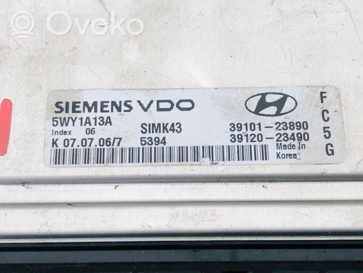 Hyundai Coupe Unité de commande, module ECU de moteur 39120-23490