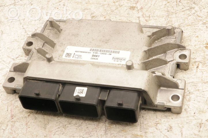 Ford Ka Sterownik / Moduł ECU g1b5-12a650-db