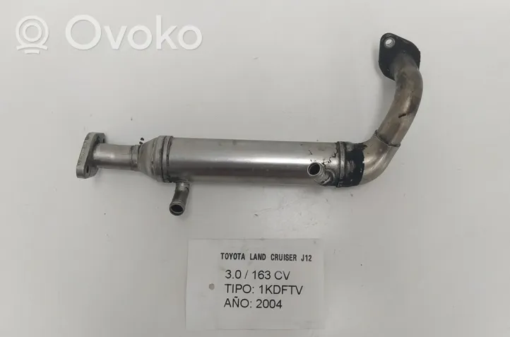 Toyota Land Cruiser (J120) Chłodnica spalin EGR 