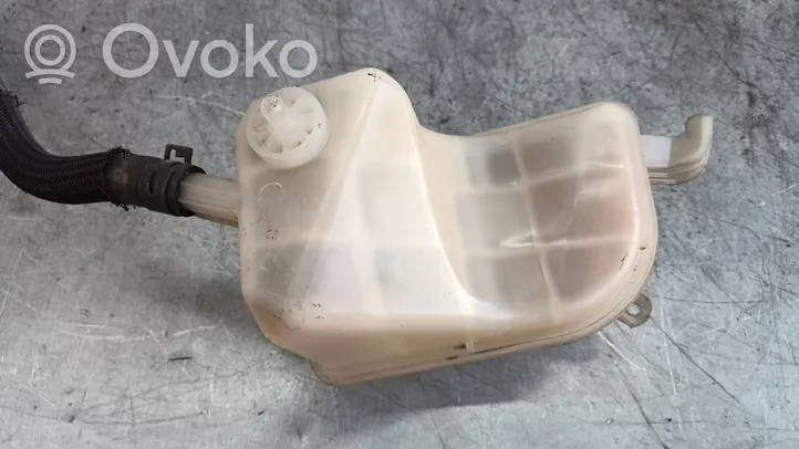 Toyota Prius (XW30) Kurtyna airbag 