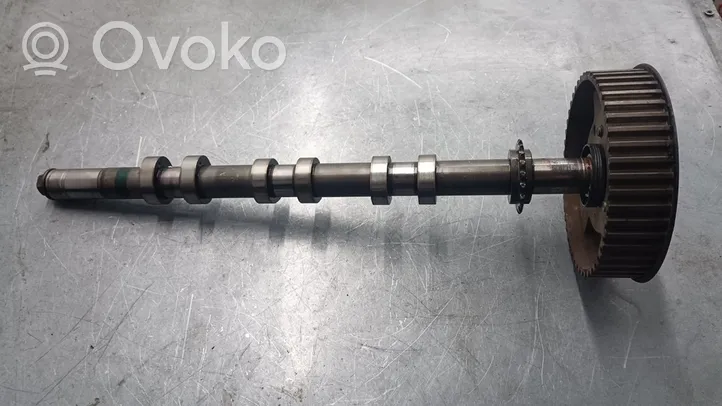 Jaguar S-Type Camshaft 4R8Q6A273AC