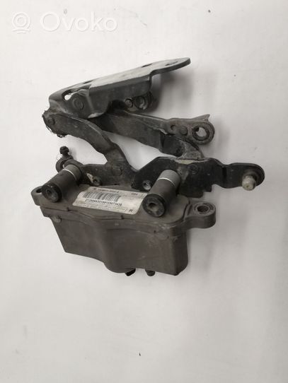 Mercedes-Benz E A207 Cerniere del vano motore/cofano A2129066301