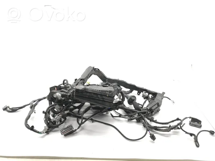 Toyota C-HR Autres faisceaux de câbles 