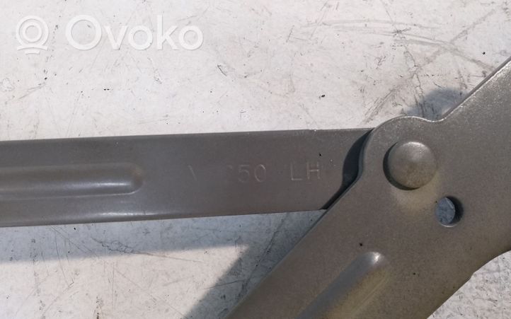 Chevrolet Epica Tailgate/trunk/boot hinge 