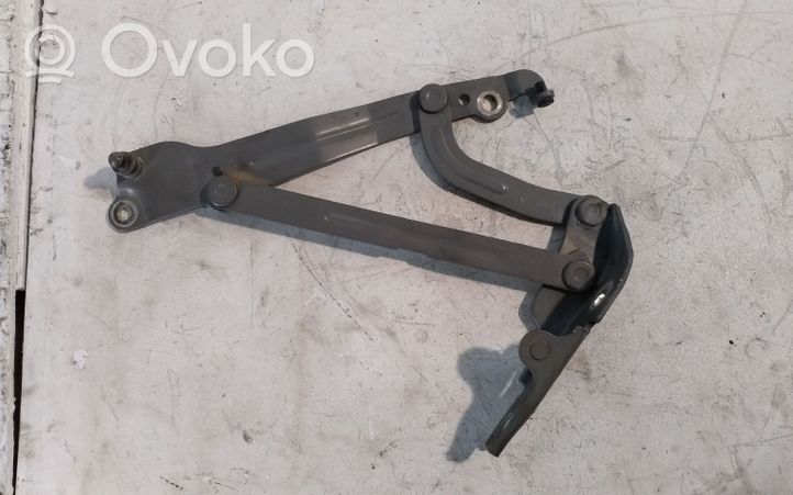 Chevrolet Epica Tailgate/trunk/boot hinge V250RH