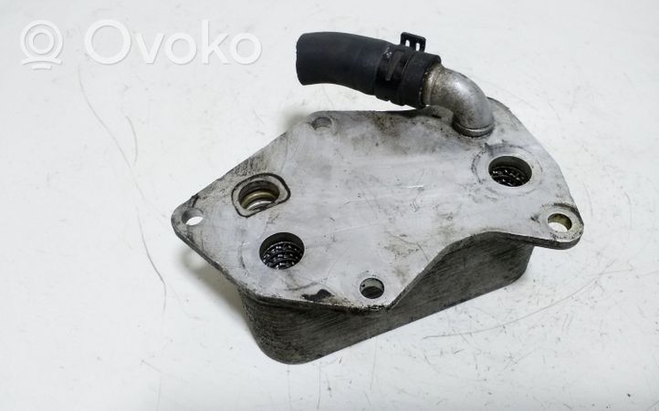 Volkswagen Jetta V Oil filter mounting bracket 07K117021B