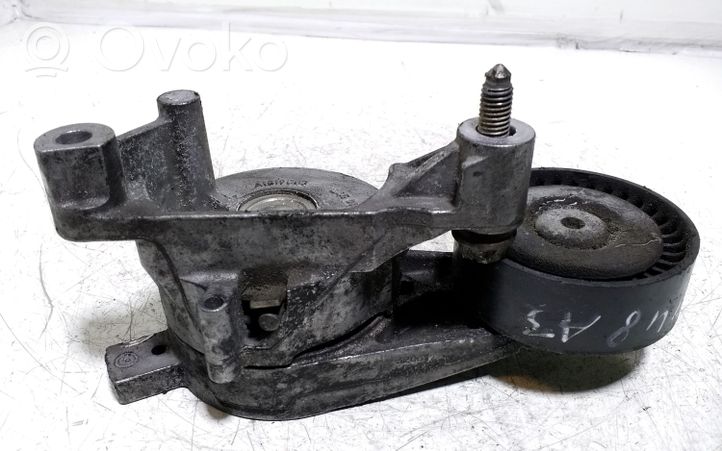 Audi A3 S3 8P Tendicinghia dell’alternatore 03G903315