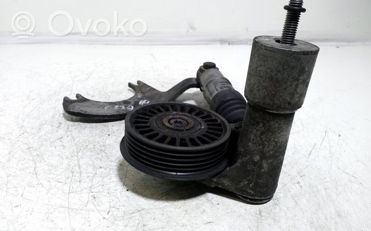 Audi A4 S4 B6 8E 8H Alternator belt tensioner 038145283