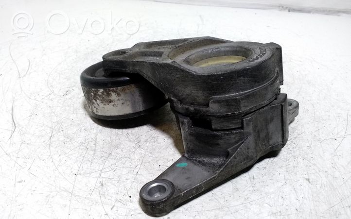 Opel Antara Napinacz paska wielorowkowego / Alternatora 12575509