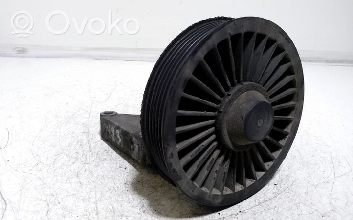 Opel Signum Napinacz paska wielorowkowego / Alternatora 