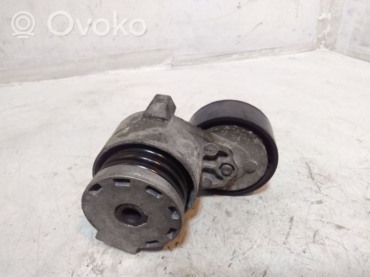 Nissan Qashqai+2 Napinacz paska alternatora 117503662R