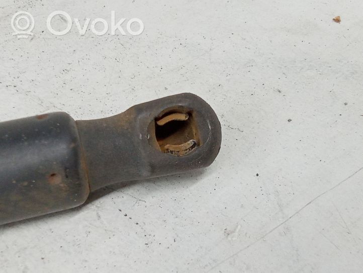 Volkswagen Golf V Ammortizzatore portellone posteriore/bagagliaio 1K6827550F