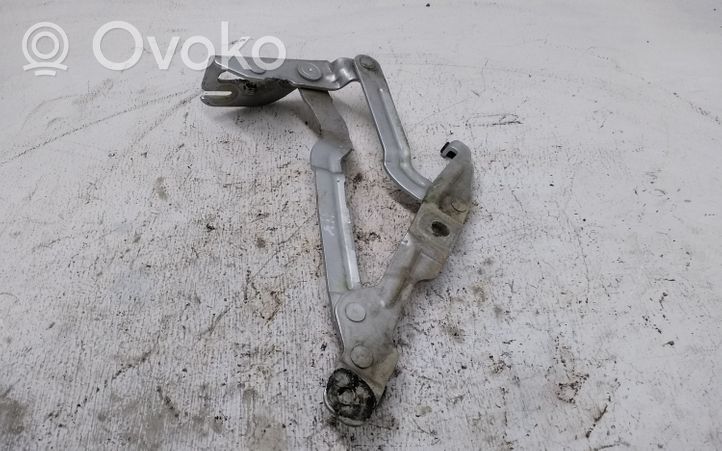 Volkswagen PASSAT B5.5 Tailgate/trunk/boot hinge 