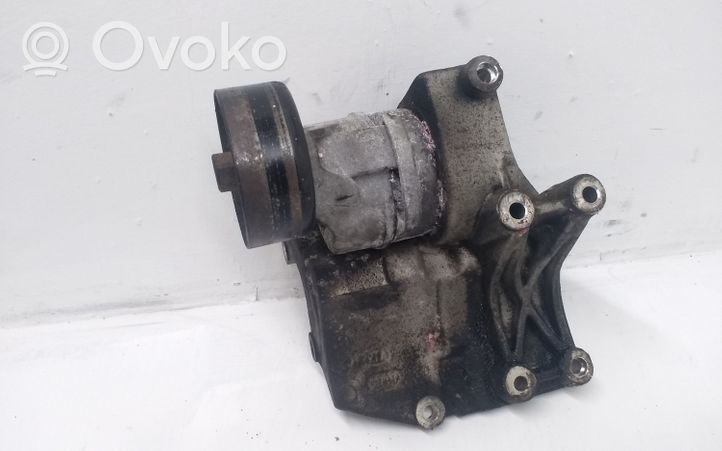 KIA Sorento Napinacz paska wielorowkowego / Alternatora 252814A000