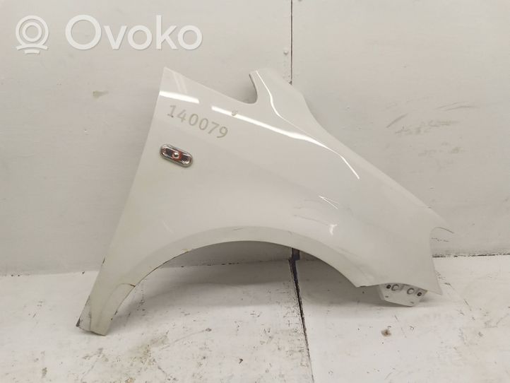 Volkswagen Caddy Fender 1T0821156