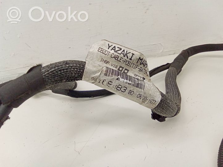 Citroen C4 II Picasso Positive cable (battery) 9816948380