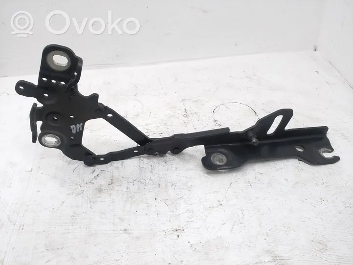 BMW 4 F32 F33 Cerniere del vano motore/cofano 7336700