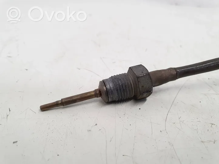 Renault Kangoo II Intake air temperature sensor 