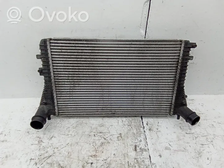 Volkswagen Tiguan Intercooler radiator 