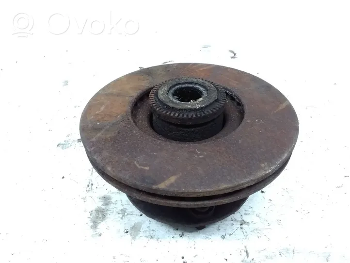 Mercedes-Benz 609 Rear brake disc 