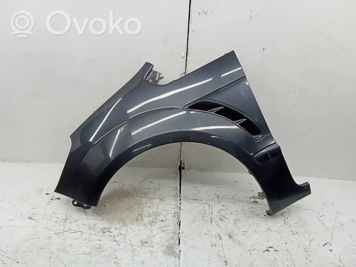 Ford S-MAX Fender 