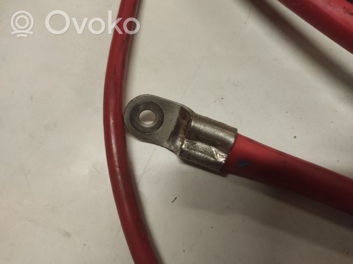 BMW 3 E46 Cable positivo (batería) 10304410