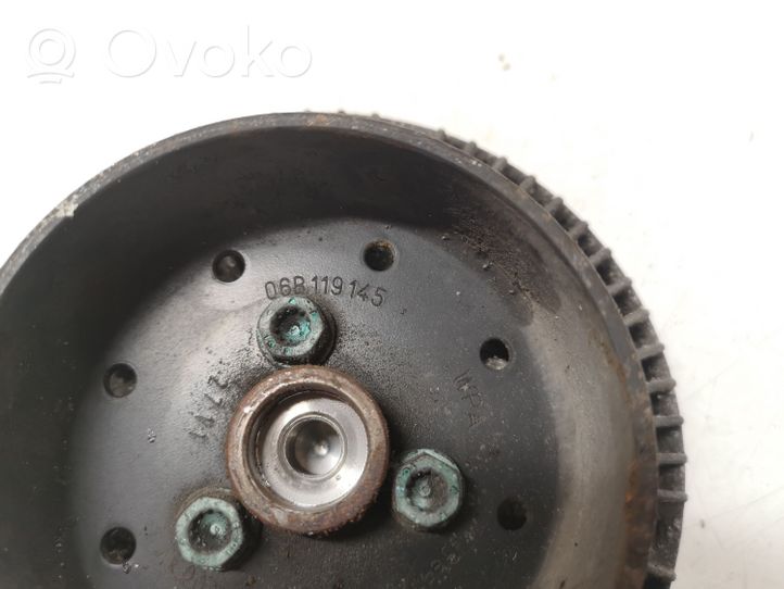 Volkswagen PASSAT B6 Viscous fan clutch 06B119145