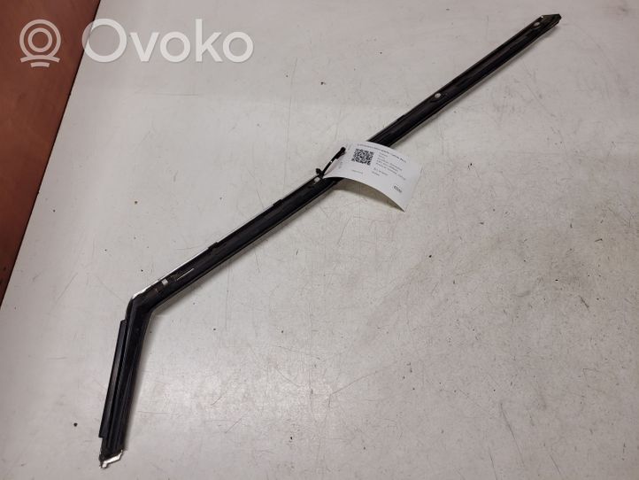 Citroen C6 Rear door glass trim molding 9646289380