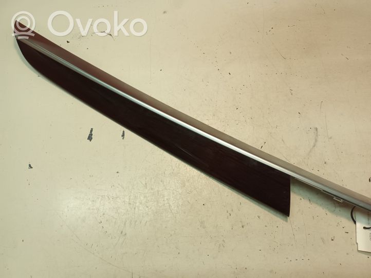 BMW X5 E70 Rivestimento della portiera posteriore 70P408403