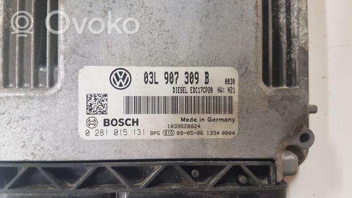 Volkswagen PASSAT B6 Centralina/modulo del motore 0281015131