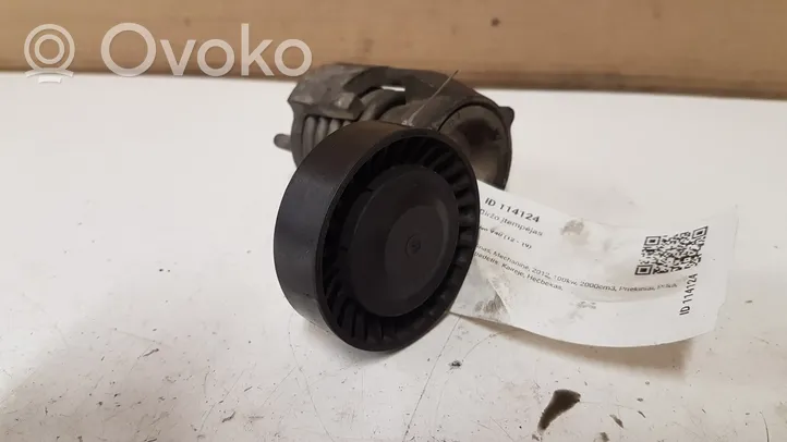 Volvo V40 Tendicinghia generatore/alternatore 23906904