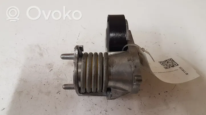 Volvo V40 Tendicinghia generatore/alternatore GDAISI9CU3