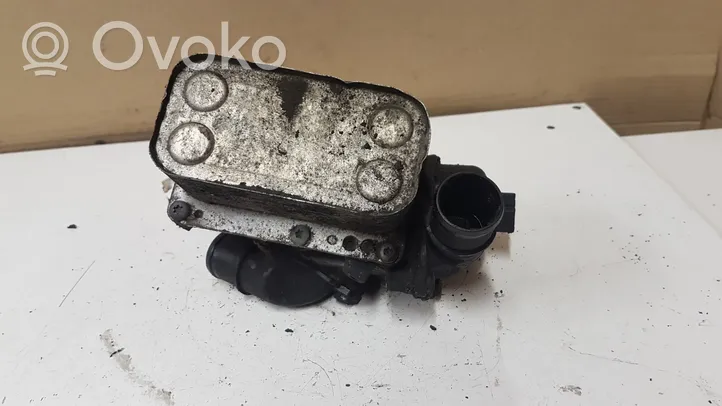 Renault Megane II Supporto di montaggio del filtro dell’olio FL518