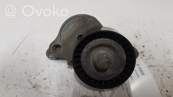 Renault Laguna III Napinacz paska alternatora 117507568R