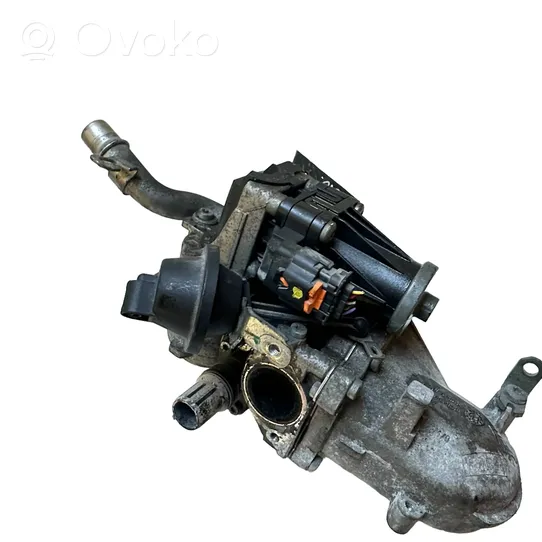 Citroen C4 Cactus EGR valve 9802194080