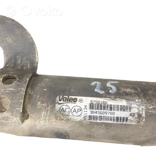 Citroen C5 EGR-venttiili/lauhdutin 9645689780