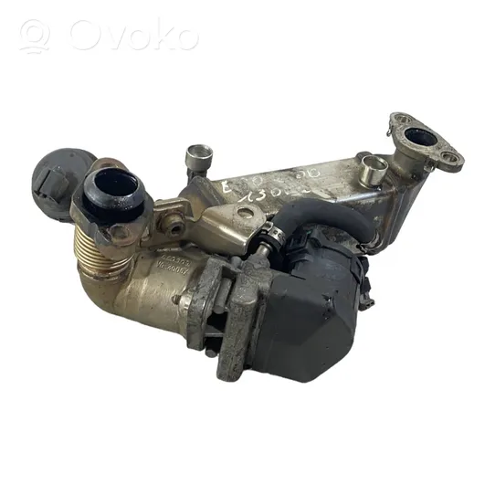 BMW 3 E90 E91 EGR aušintuvas 7810166