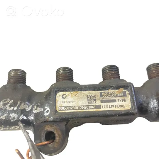 Citroen Berlingo Tuyau de conduite principale de carburant 9654592680