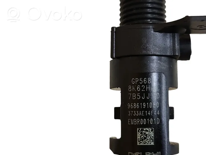 Citroen C5 Fuel injector 9686191080