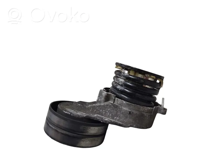 Opel Zafira B Generator/alternator belt tensioner 