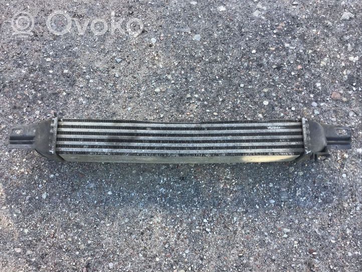 Citroen Nemo Chłodnica powietrza doładowującego / Intercooler P1179