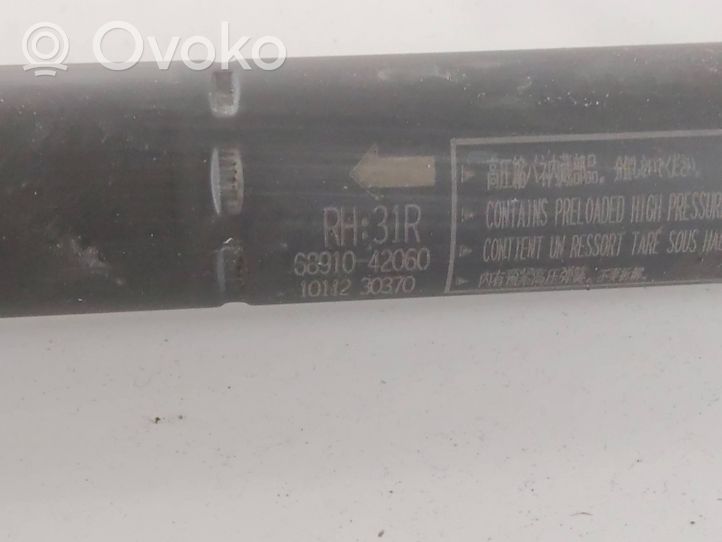 Toyota RAV 4 (XA50) Moteur ouverture de coffre 6891042060