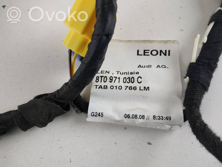 Audi A5 8T 8F Front door wiring loom 8T0971030C