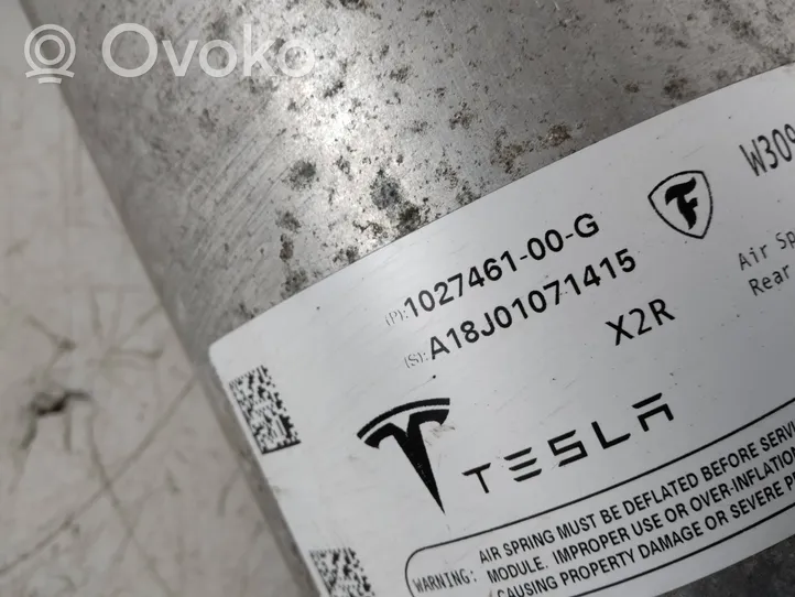 Tesla Model X Sacca a pressione sospensione/ammortizzatore posteriore 102746100G